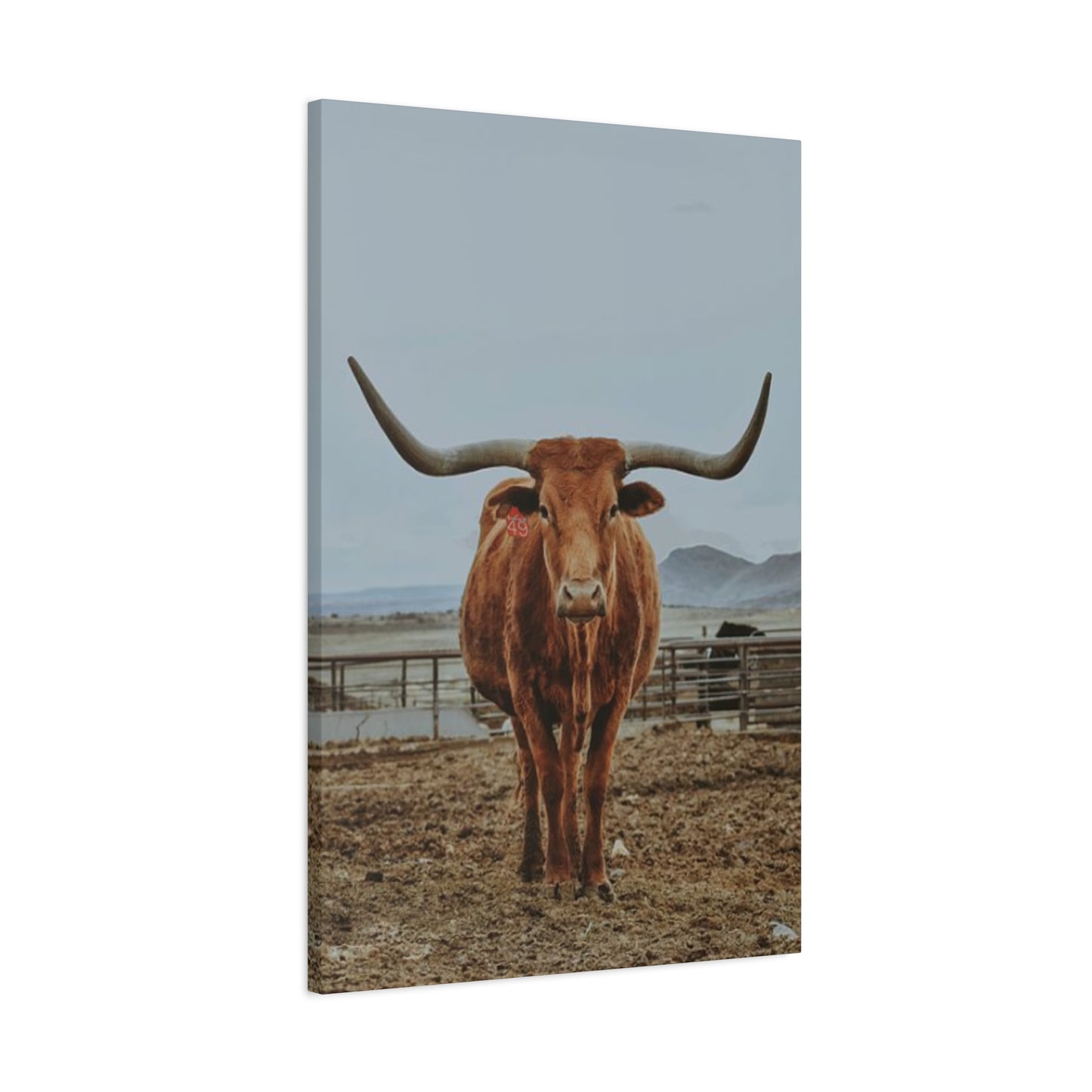 Wild Brown Buffalo Longhorn Wall Art & Canvas Prints