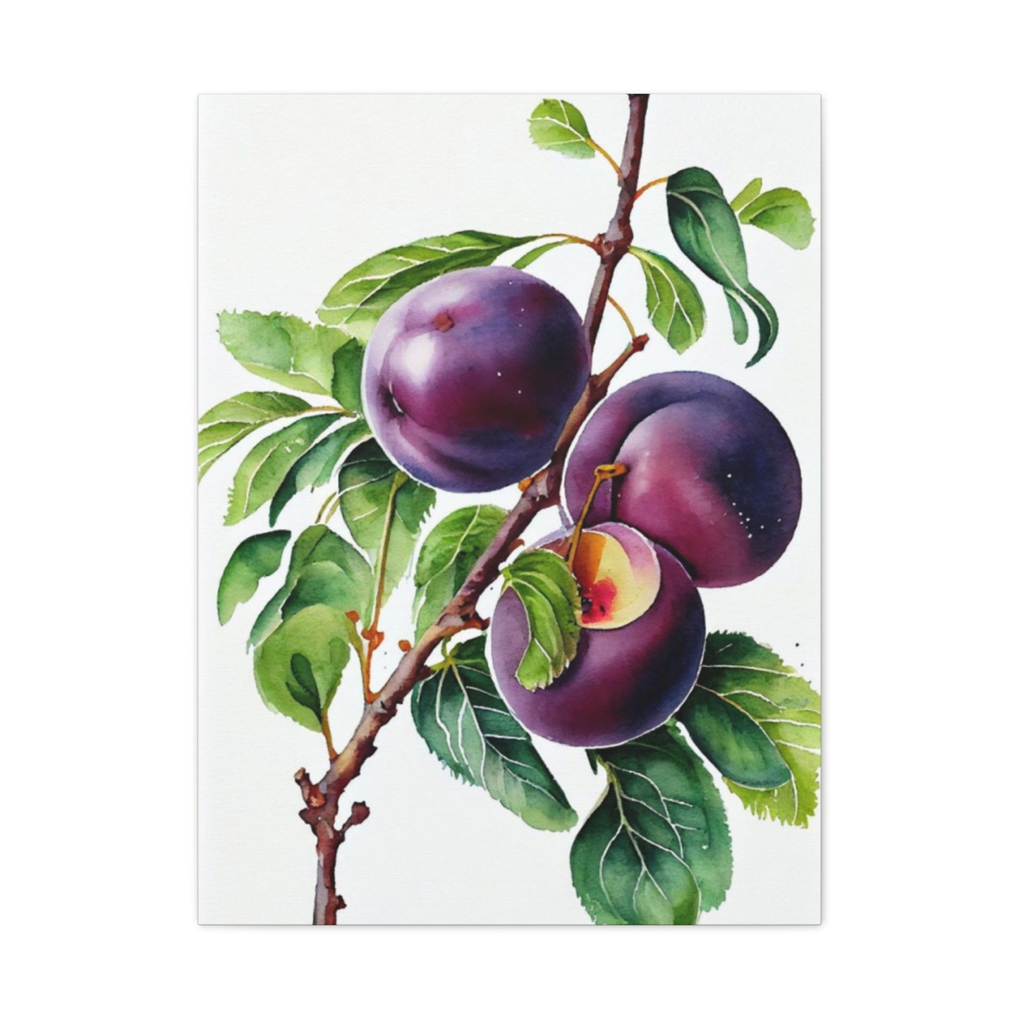 Black Plum Wall Art & Canvas Prints