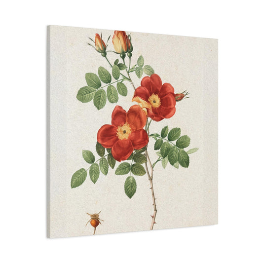 Printed Flower Wall Art & Canvas Prints