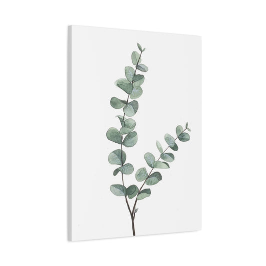 Eucalyptus Stem Wall Art & Canvas Prints