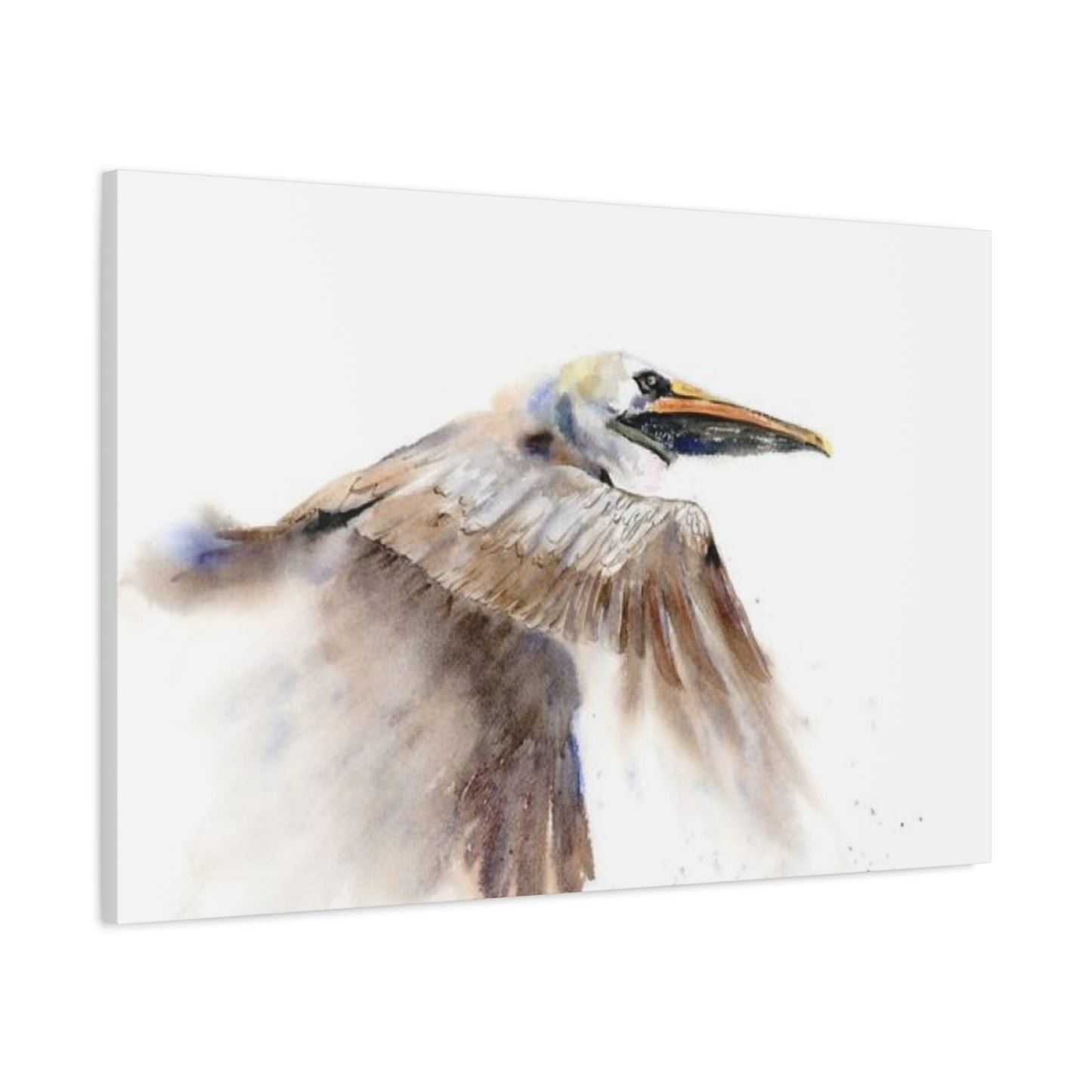 Long Beak Flying Pelican Wall Art & Canvas Prints