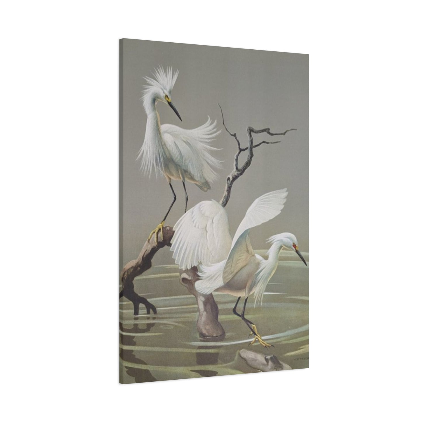 Beautiful Herons Photography Wall Art & Canvas Prints