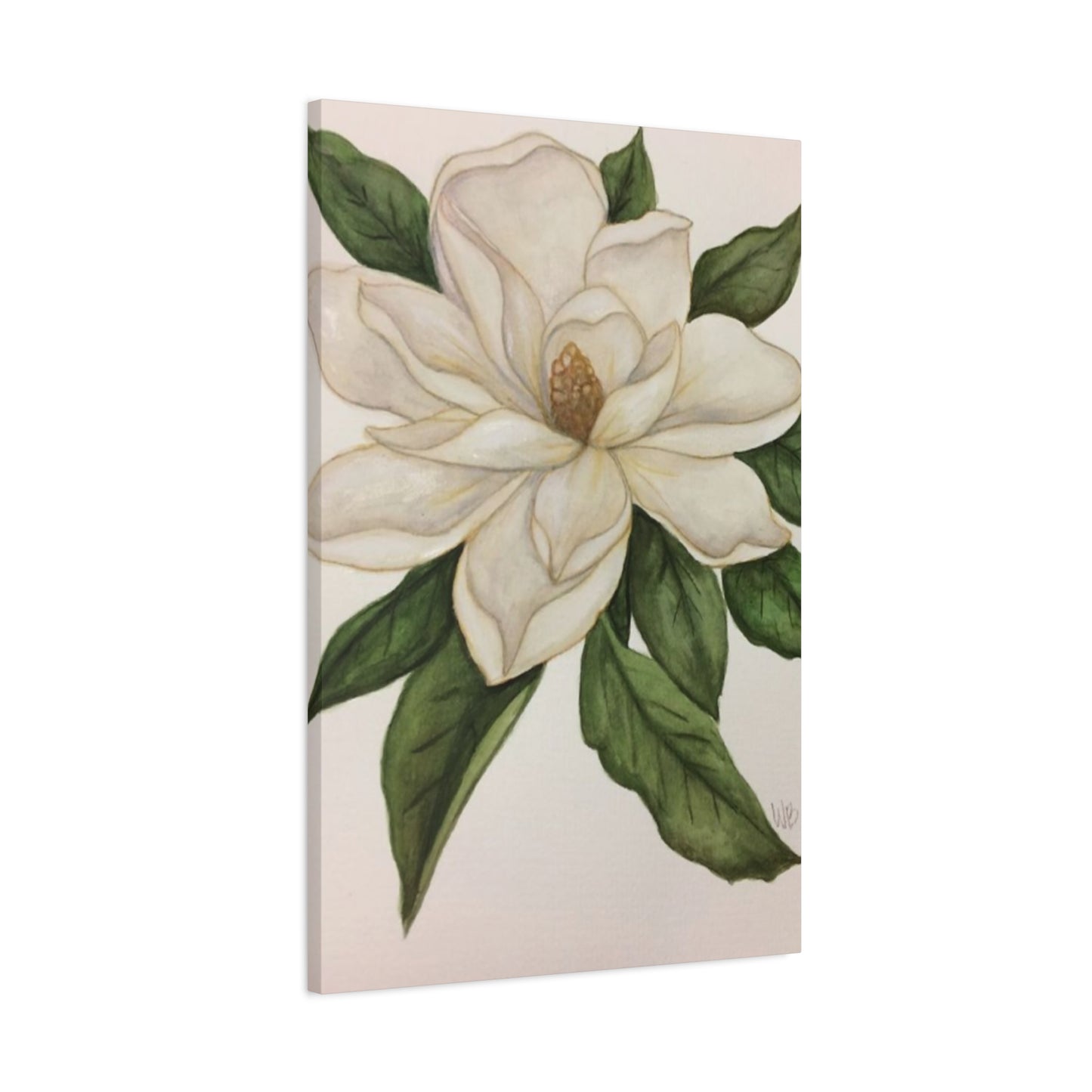 Beautiful White Magnolia Flower Drawing Wall Art & Canvas Prints