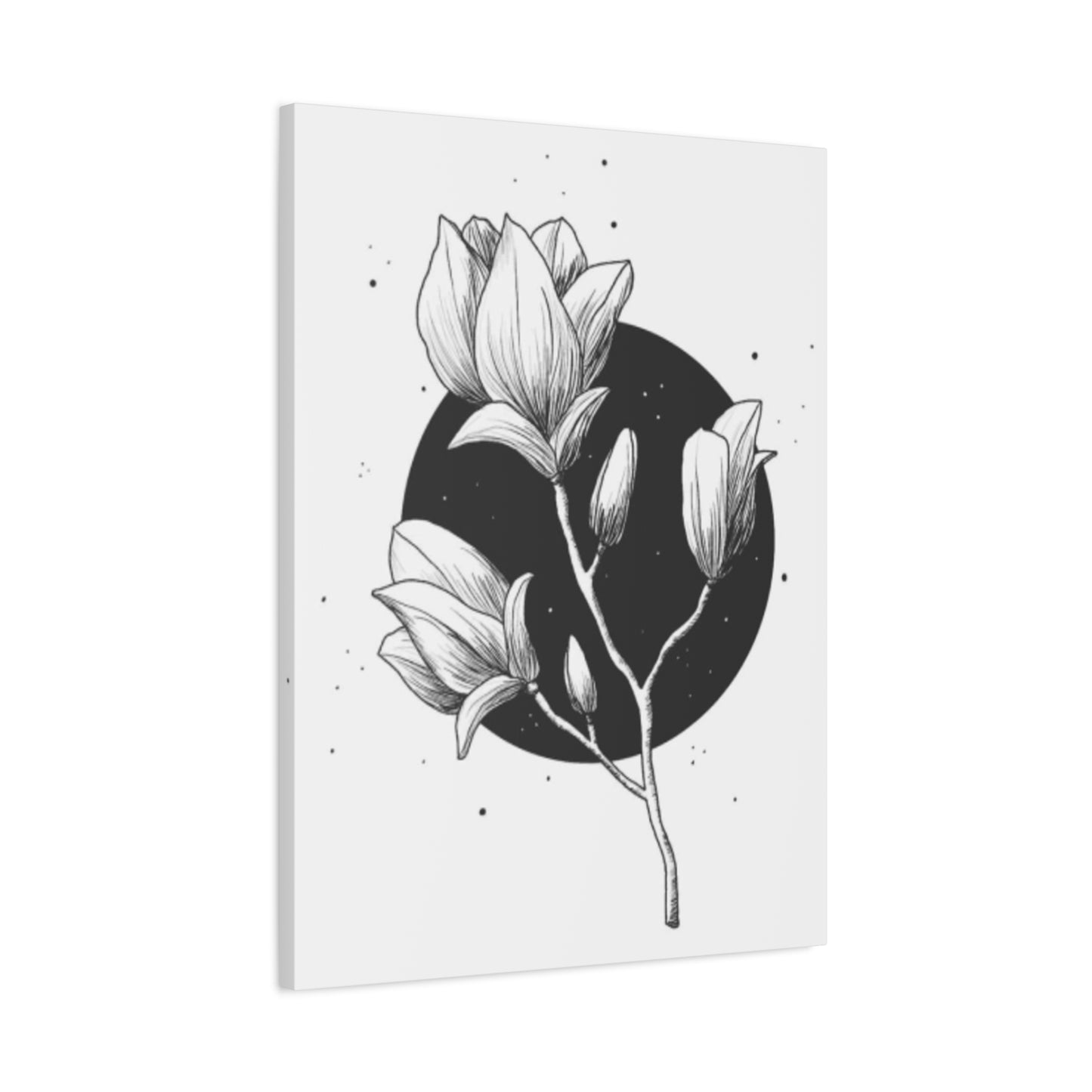 Beautiful Monochrome Magnolia Flower Plant Wall Art & Canvas Prints