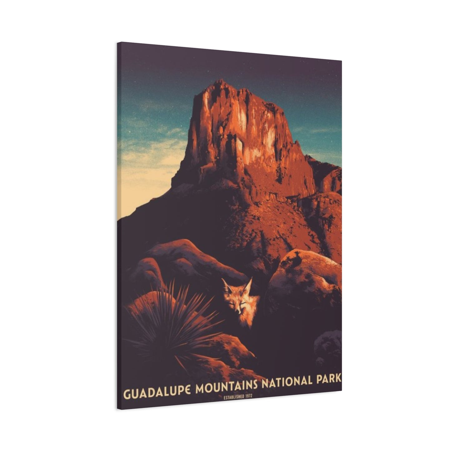 Guadalupe Mountains National Park Wall Art & Canvas Prints