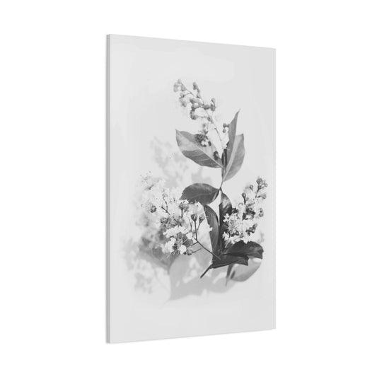 White Flora Wall Art & Canvas Prints