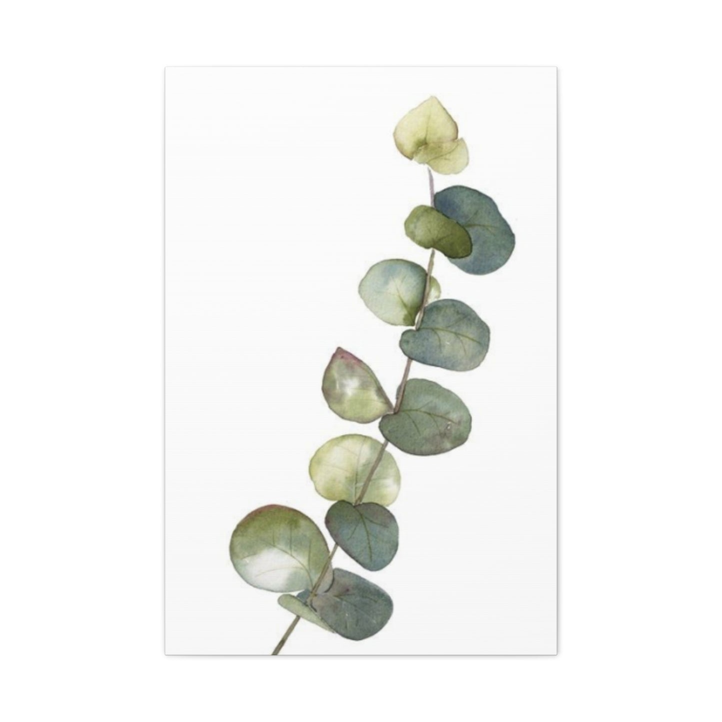 Eucalyptus Stem Wall Art & Canvas Prints