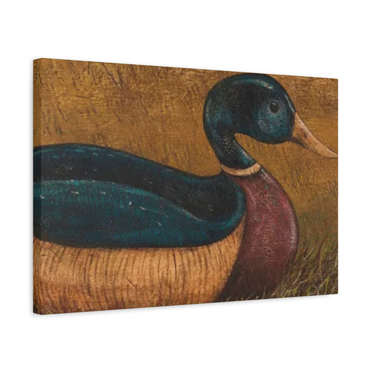 Duck Kimble Warren Wall Art & Canvas Prints