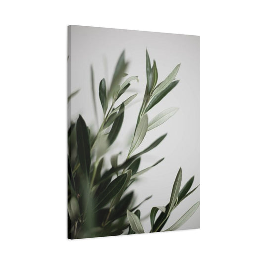 Plant Olive Green Wall Art & Canvas Prints