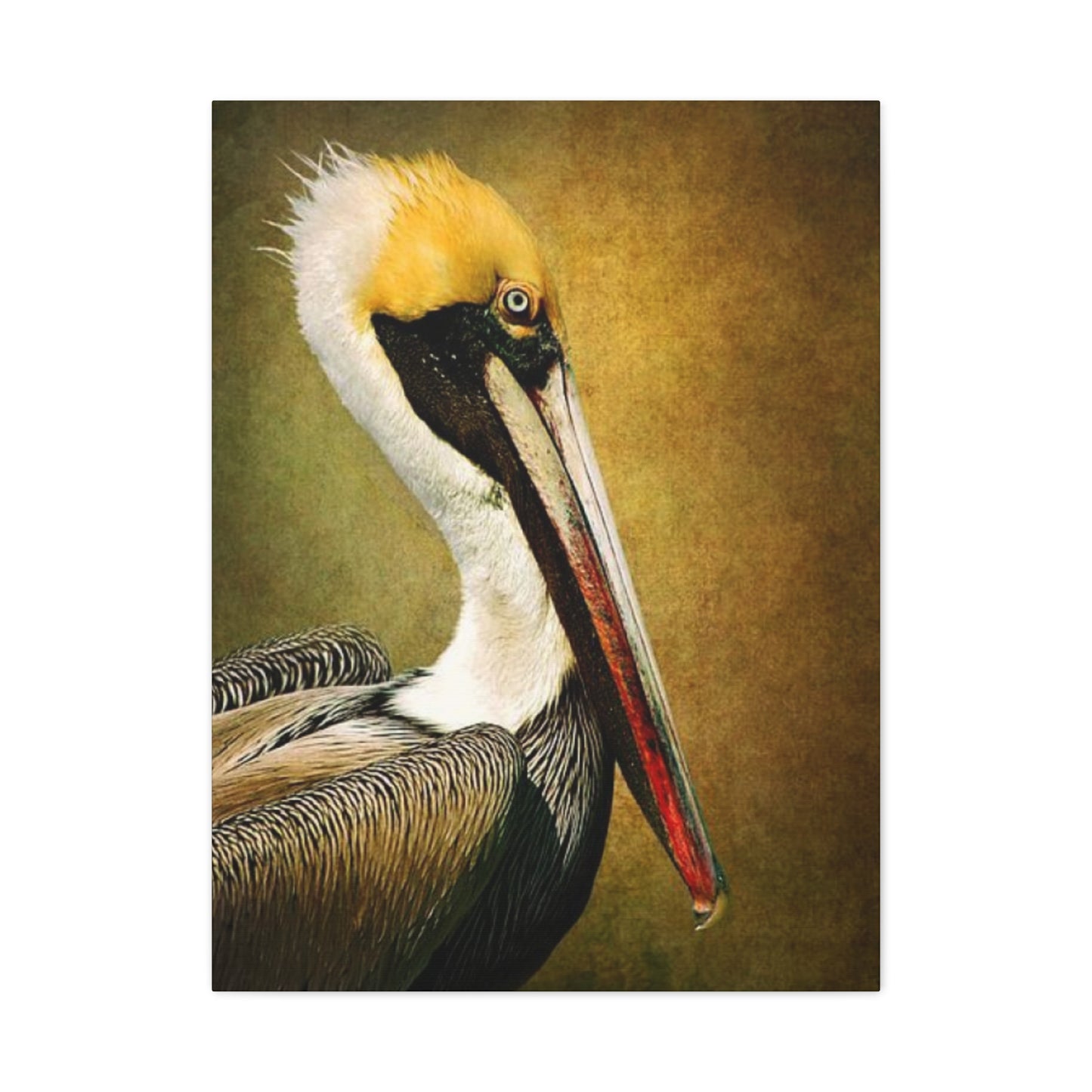 Long Beak Pelican Candid Close Up Drawing Wall Art & Canvas Prints