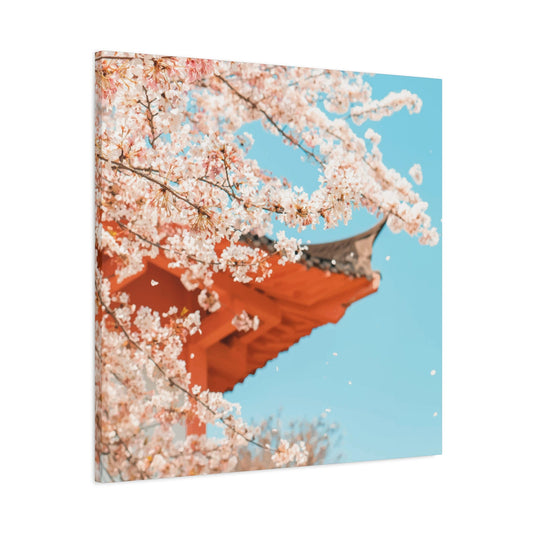 Cherry Blossom Wall Art & Canvas Prints