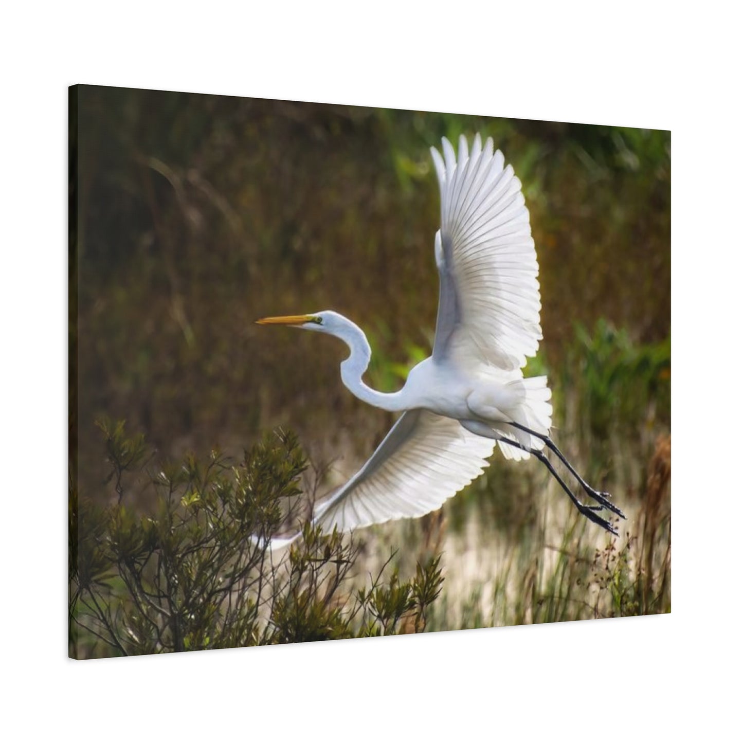 Flying Heron Wall Art & Canvas Prints