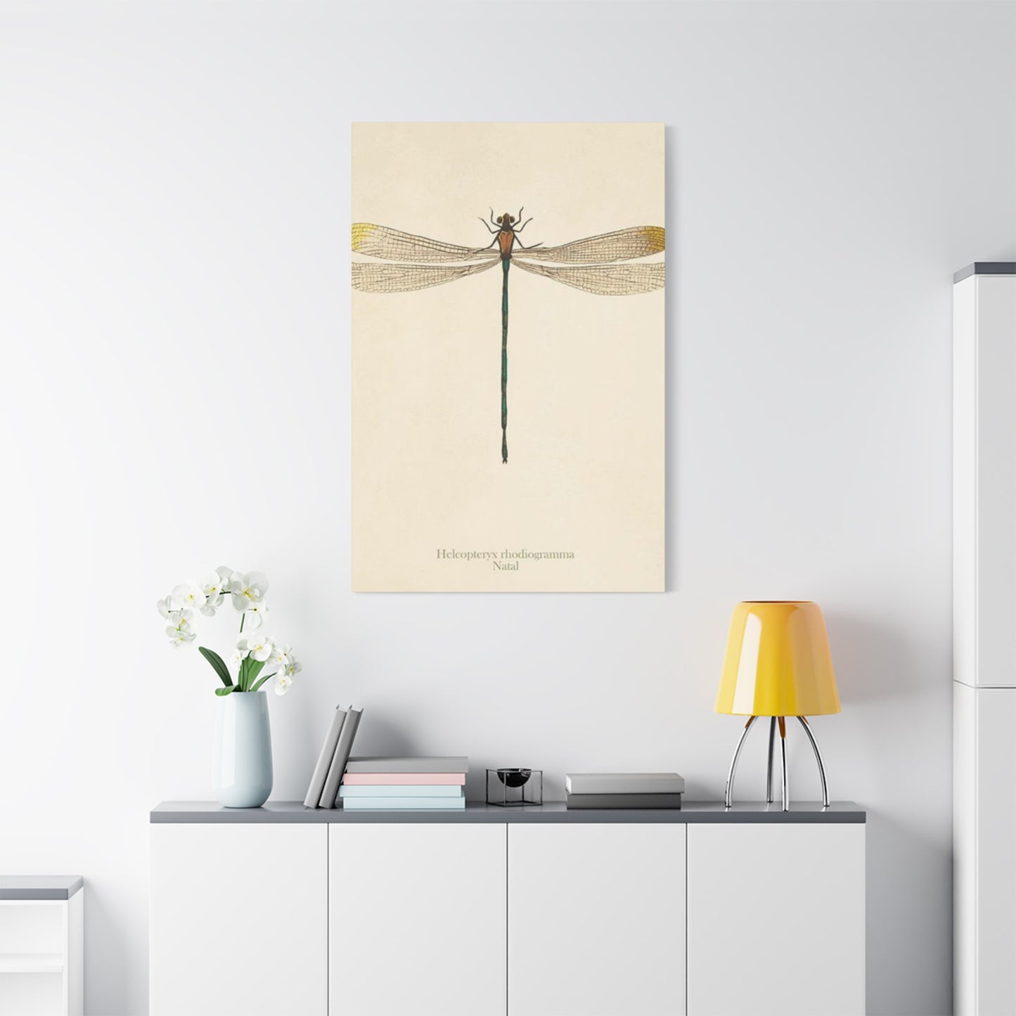 Long Tail Dragonfly Wall Art & Canvas Prints