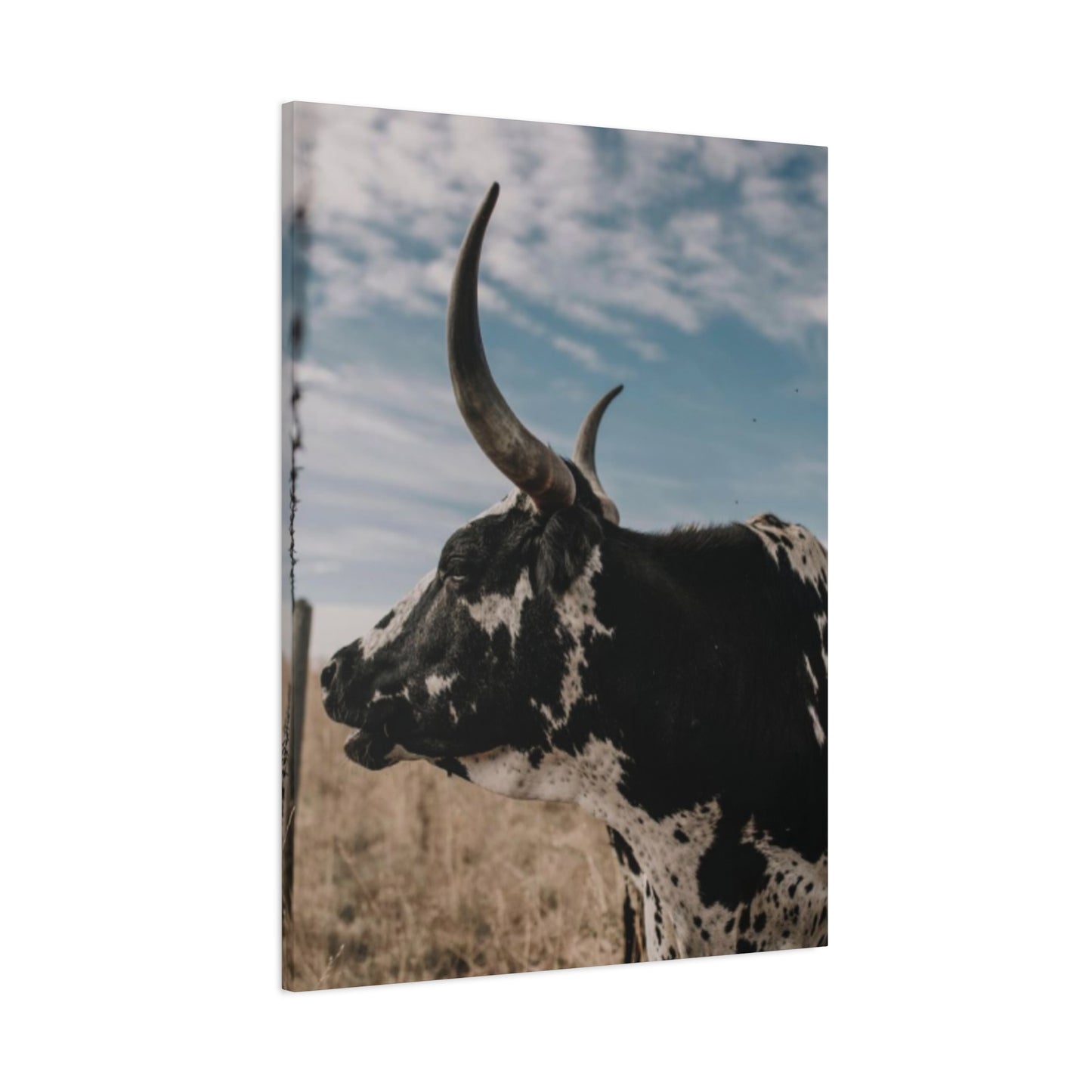 Wild Buffalo Curvy Longhorn Wall Art & Canvas Prints