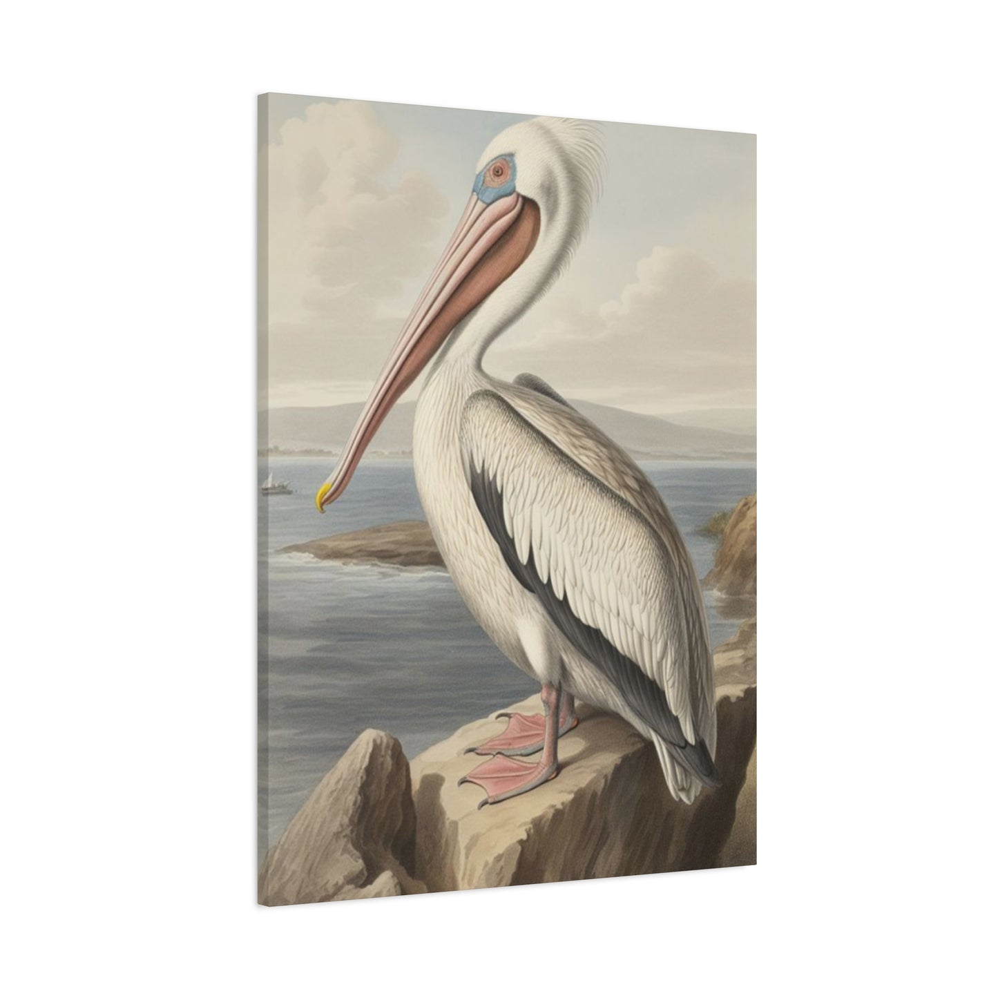 Long Beak Pelican Sitting On Cliff Wall Art & Canvas Prints