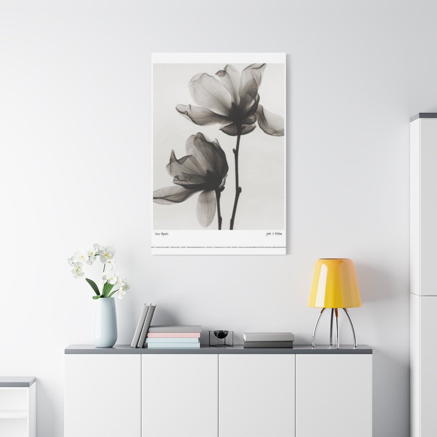 Beautiful Magnolia Flower X Ray Photo Wall Art & Canvas Prints