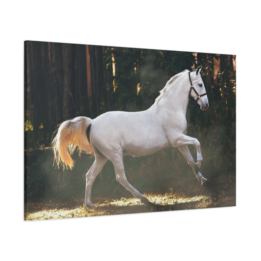 White Horse Wall Art & Canvas Prints