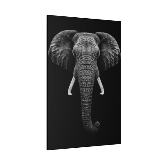 Elephant's Head Wall Art & Canvas Prints