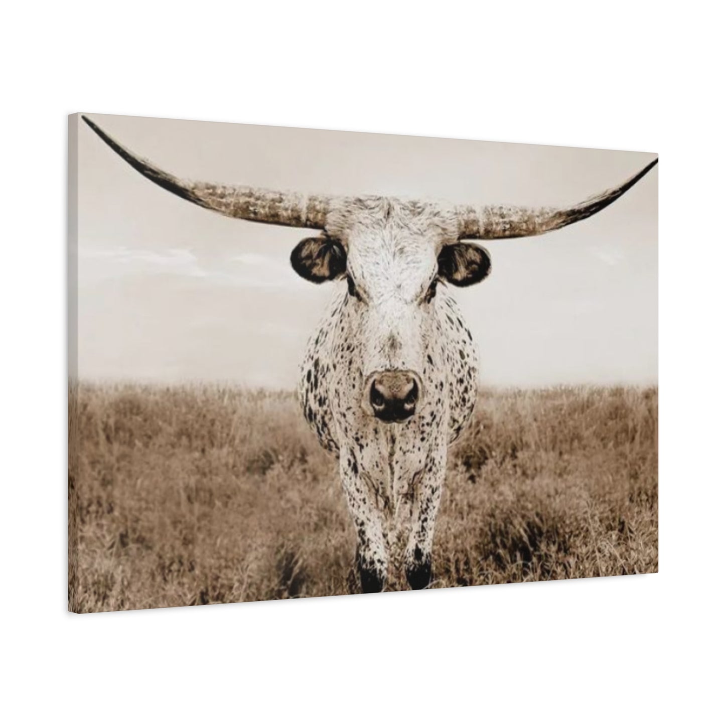 Straight Long Horn Wall Art & Canvas Prints