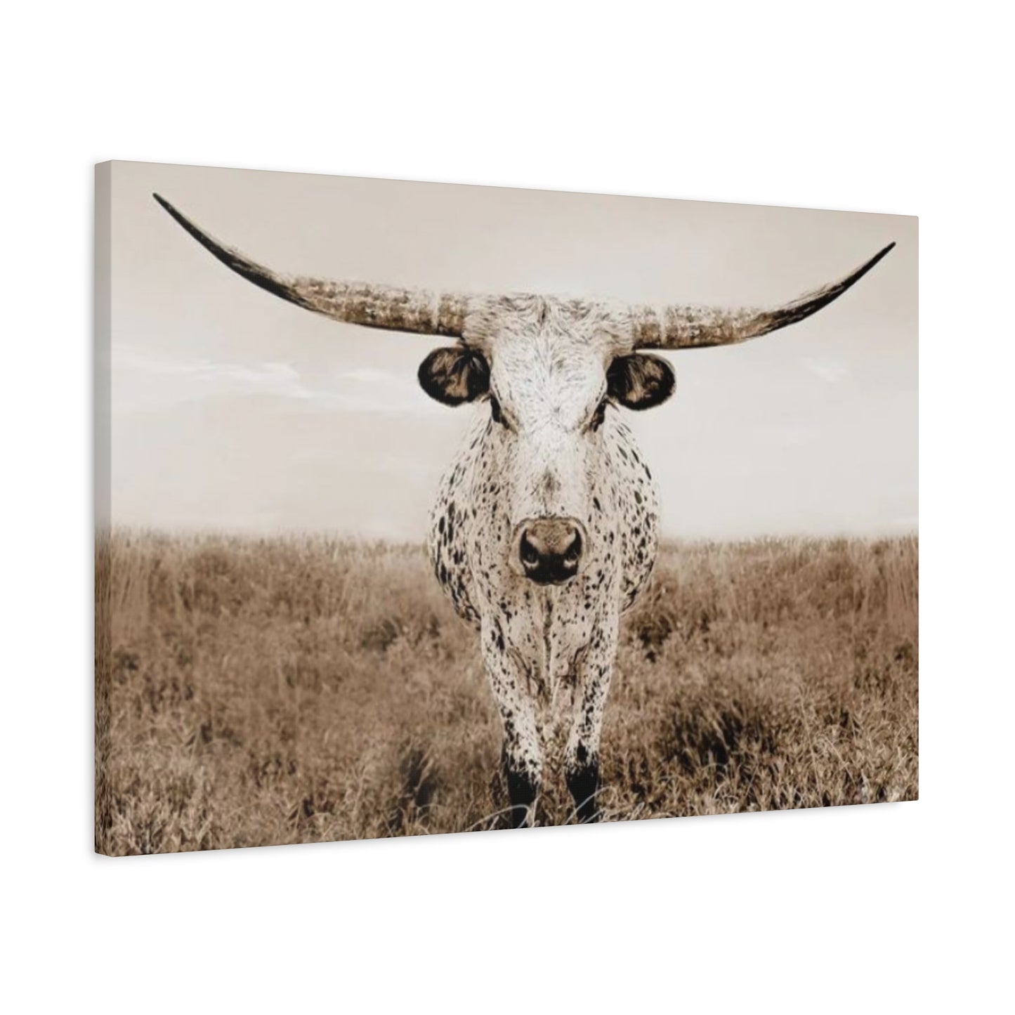 Straight Long Horn Wall Art & Canvas Prints