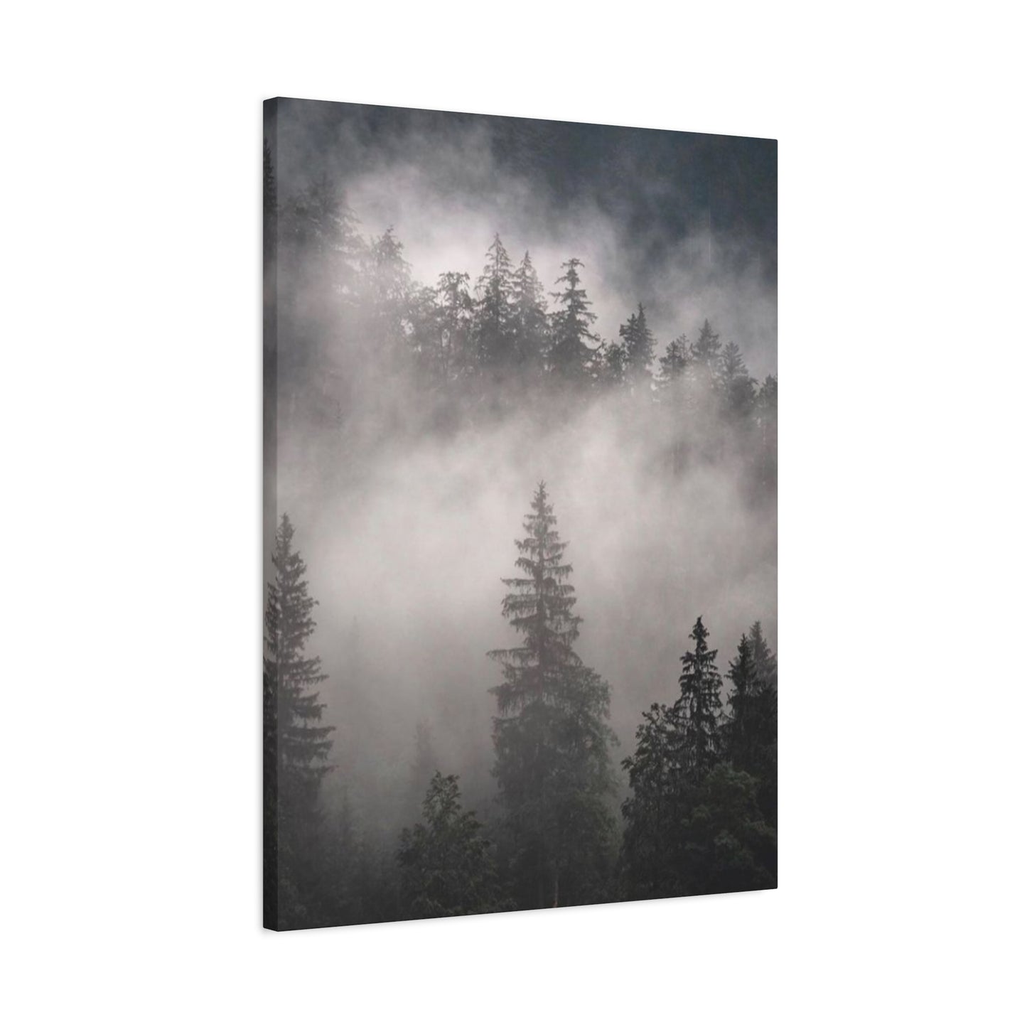 Tropical Forest Wall Art & Canvas Prints