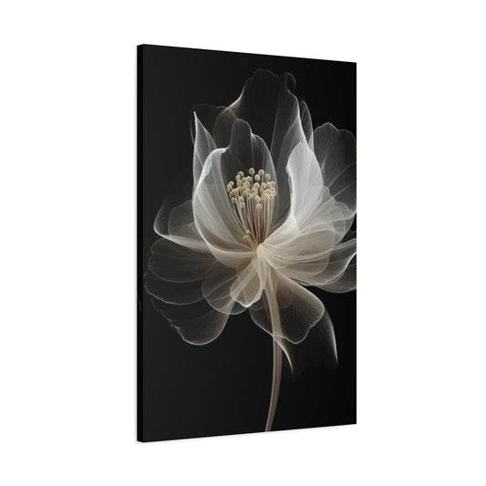 White flower Wall Art & Canvas Prints