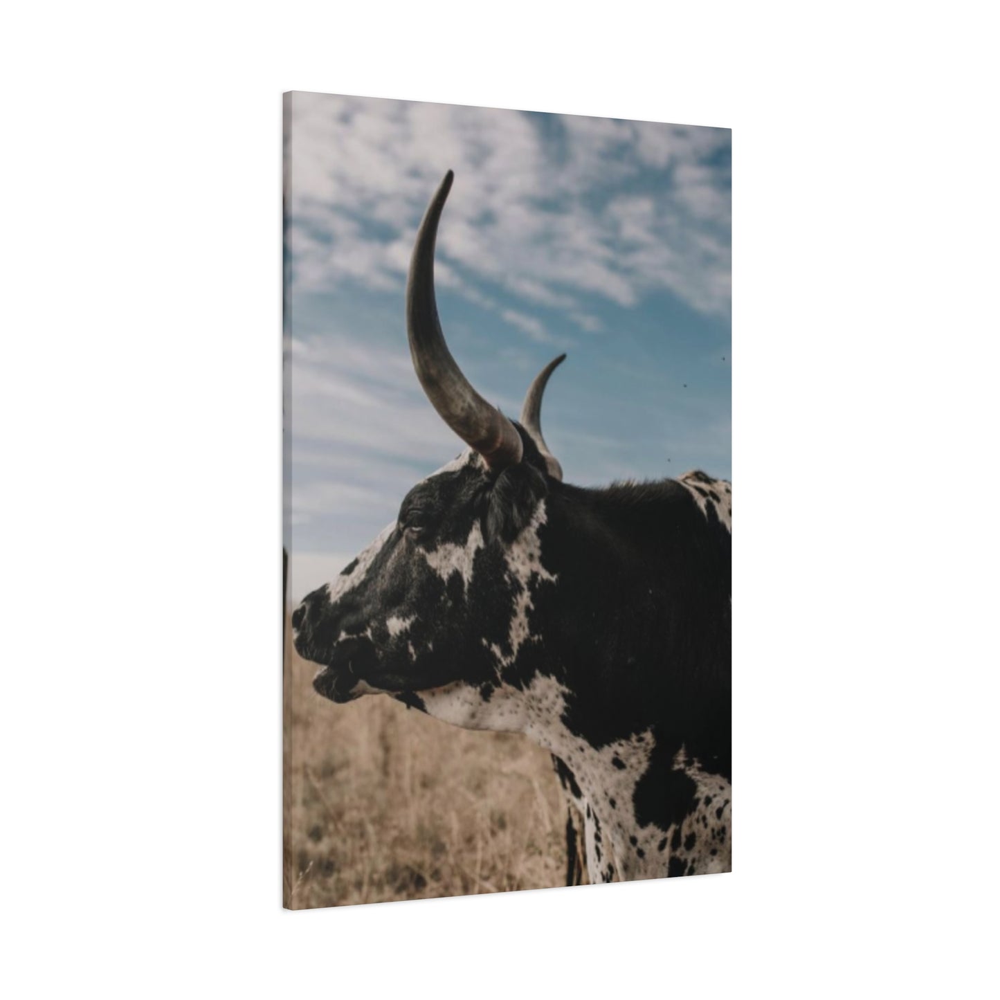 Wild Buffalo Curvy Longhorn Wall Art & Canvas Prints