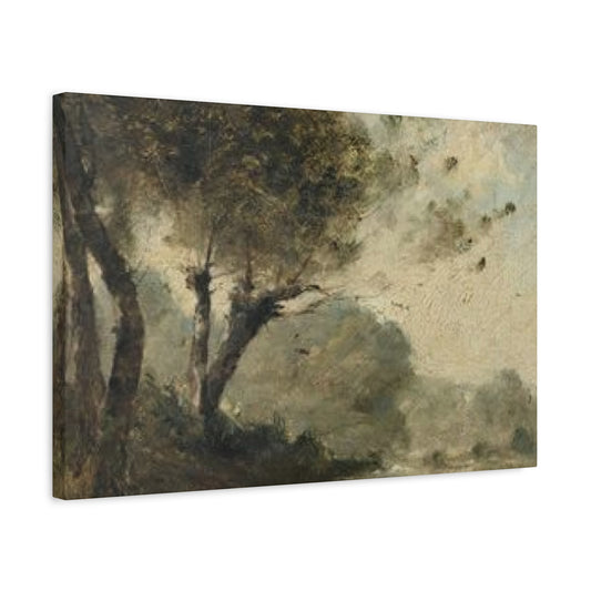 Fine Tree Wall Art & Canvas Prints