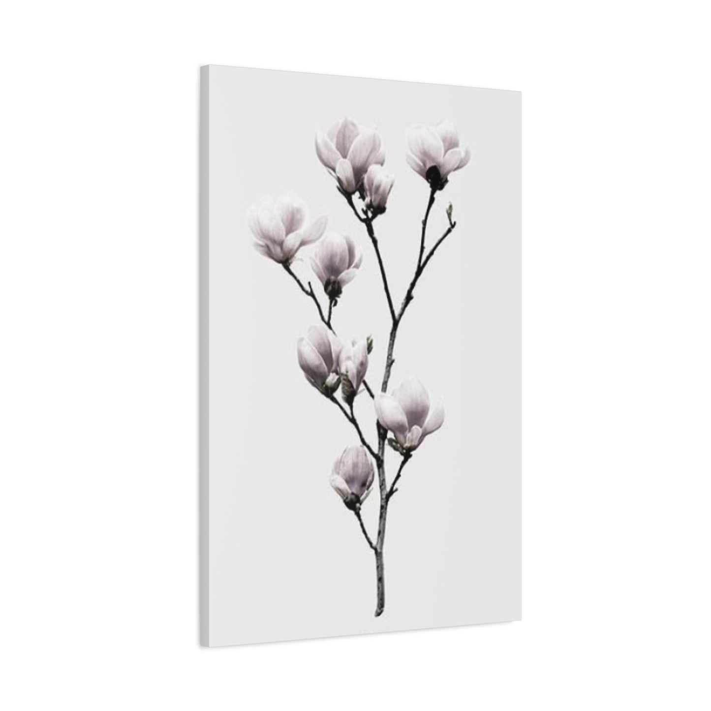 Beautiful Pink Magnolia Flower Wall Art & Canvas Prints