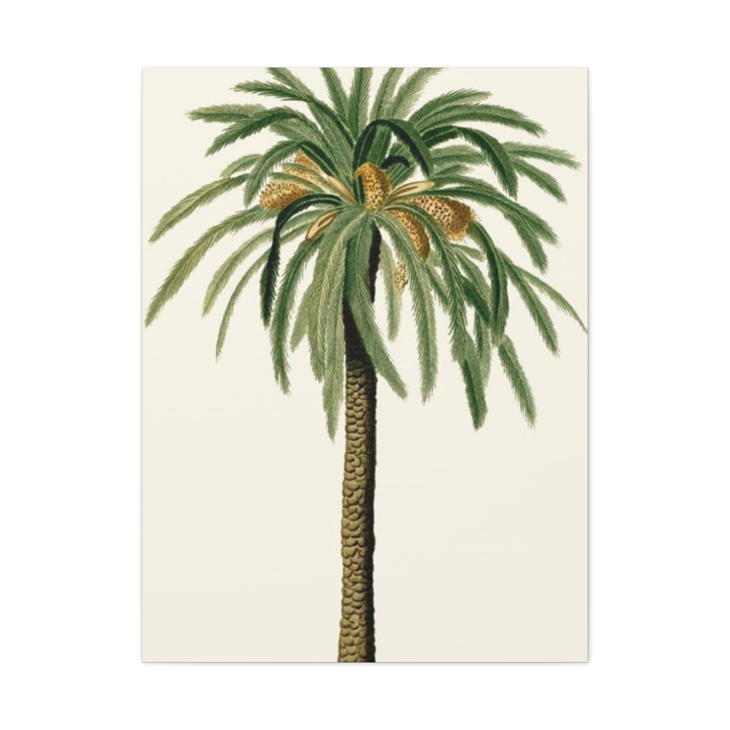 Palm Tree Painting Wall Art & Canvas Prints