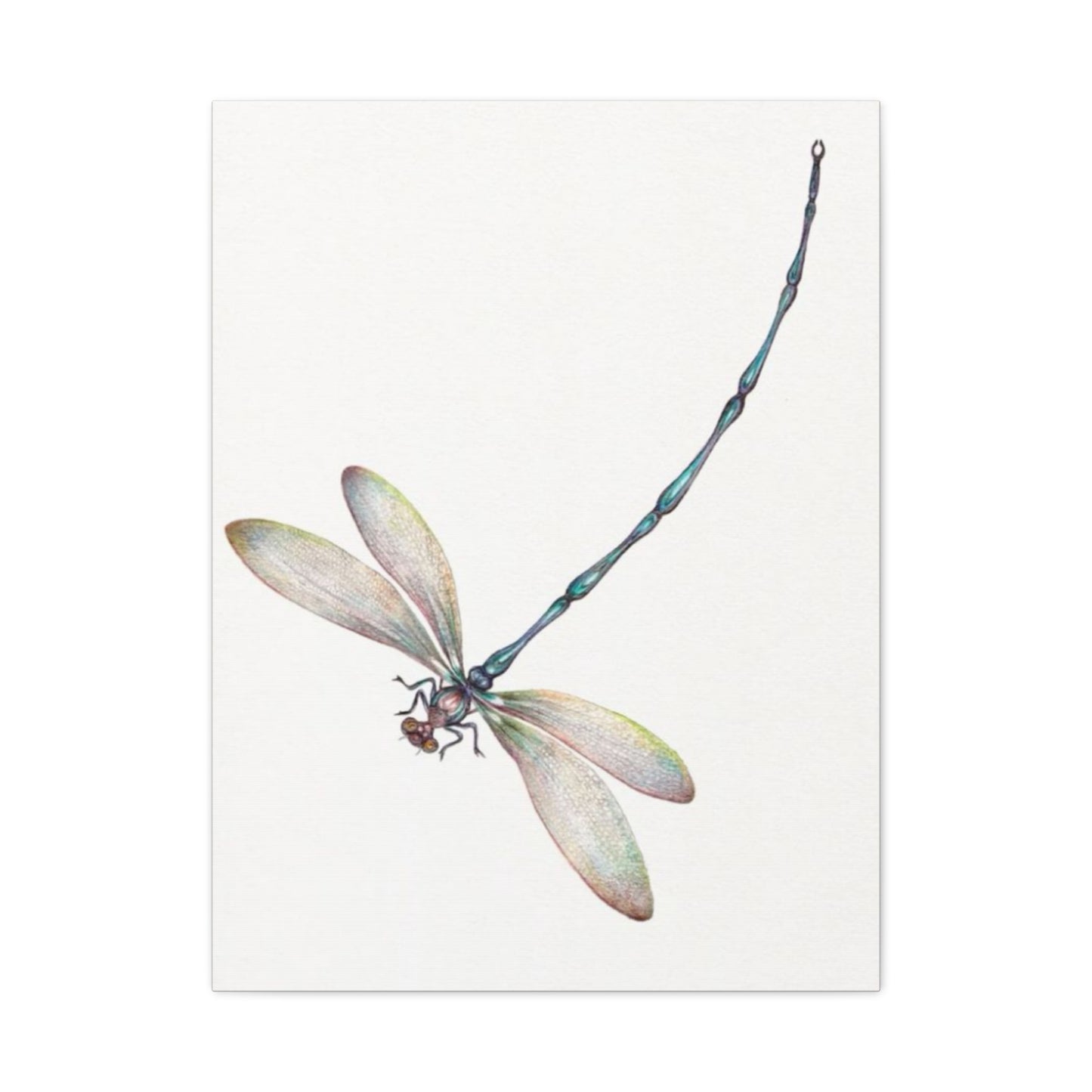 Long Blue Tail Dragonfly Wall Art & Canvas Prints