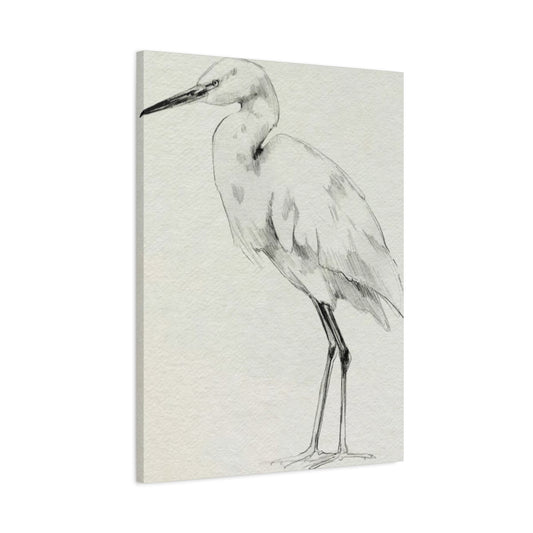 Herons Drawing Wall Art & Canvas Prints