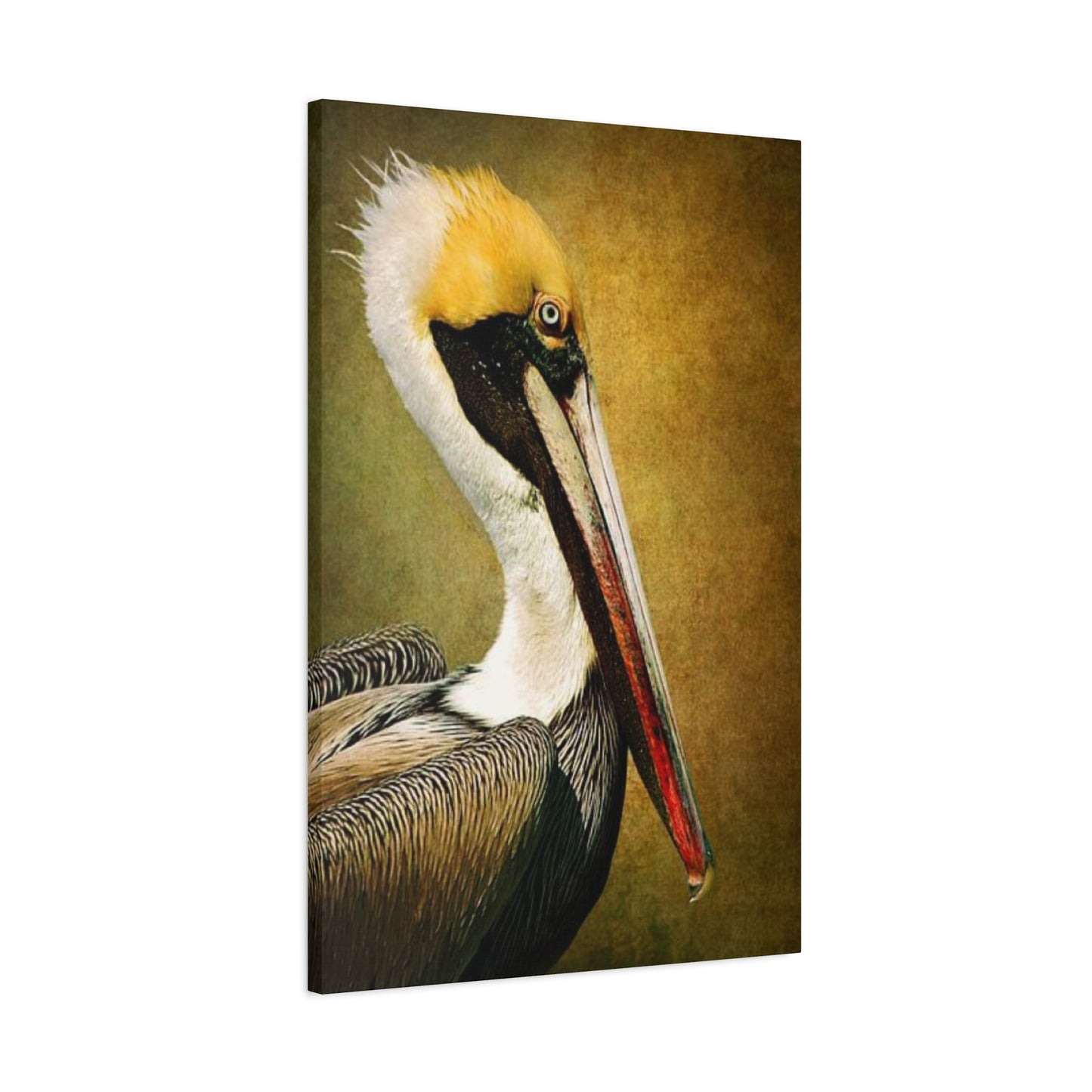 Long Beak Pelican Candid Close Up Drawing Wall Art & Canvas Prints