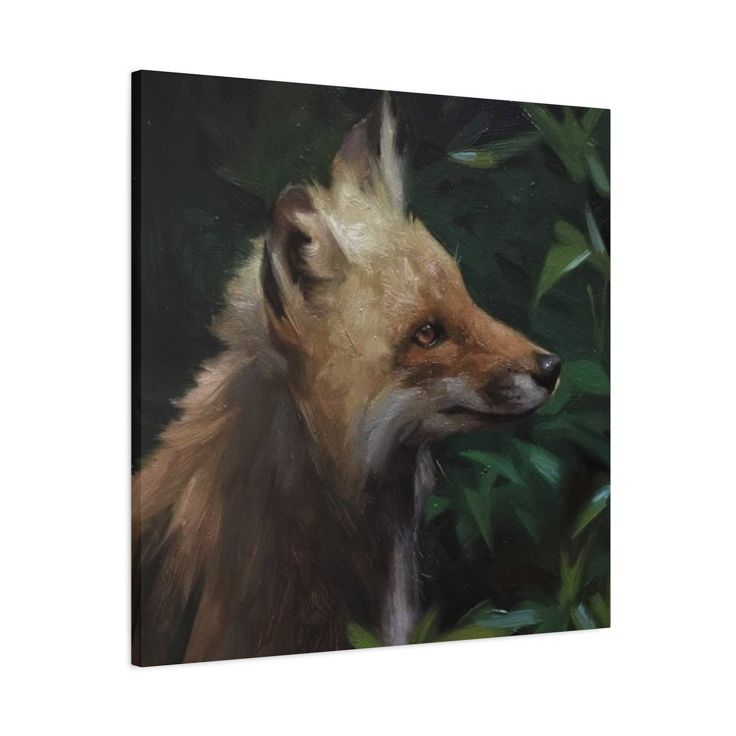 Little Baby Fox Wall Art & Canvas Prints