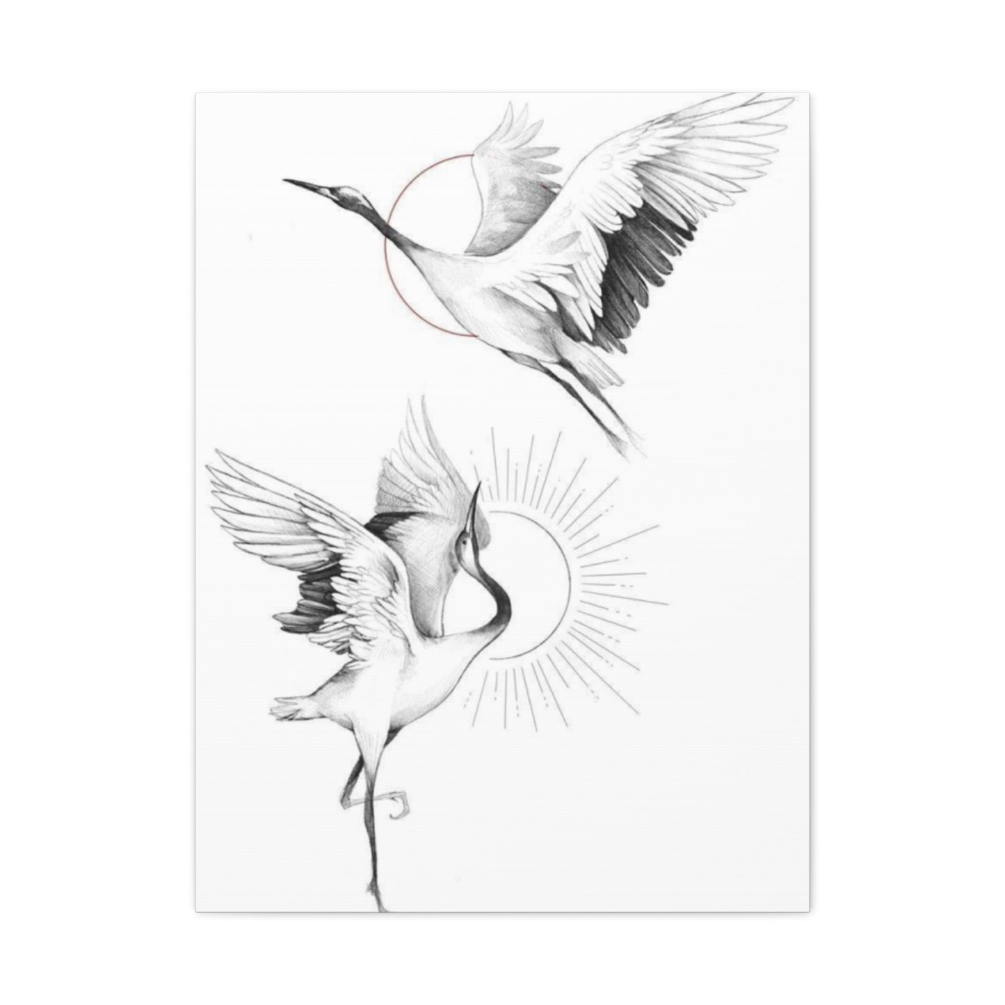 Herons Drawing Wall Art & Canvas Prints