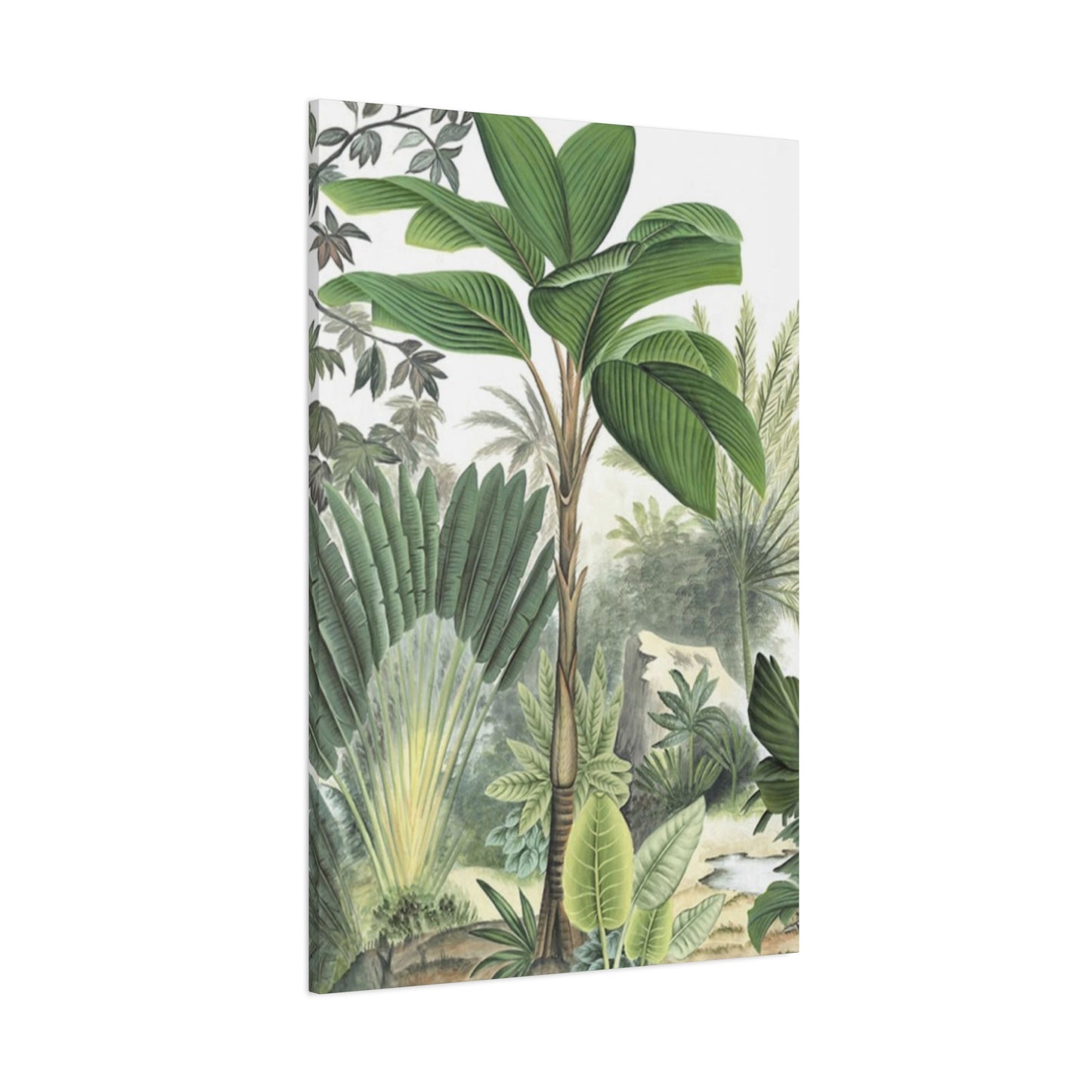 Palm Tree Green Leaves In Forest Wall Art & Canvas Prints