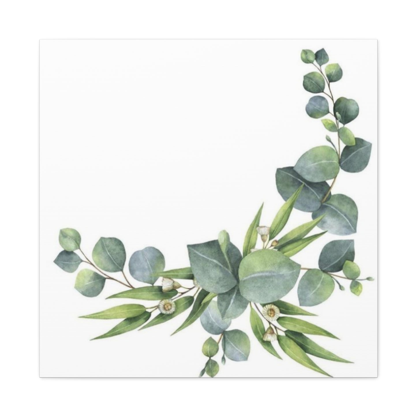 Flower of Eucalyptus Wall Art & Canvas Prints