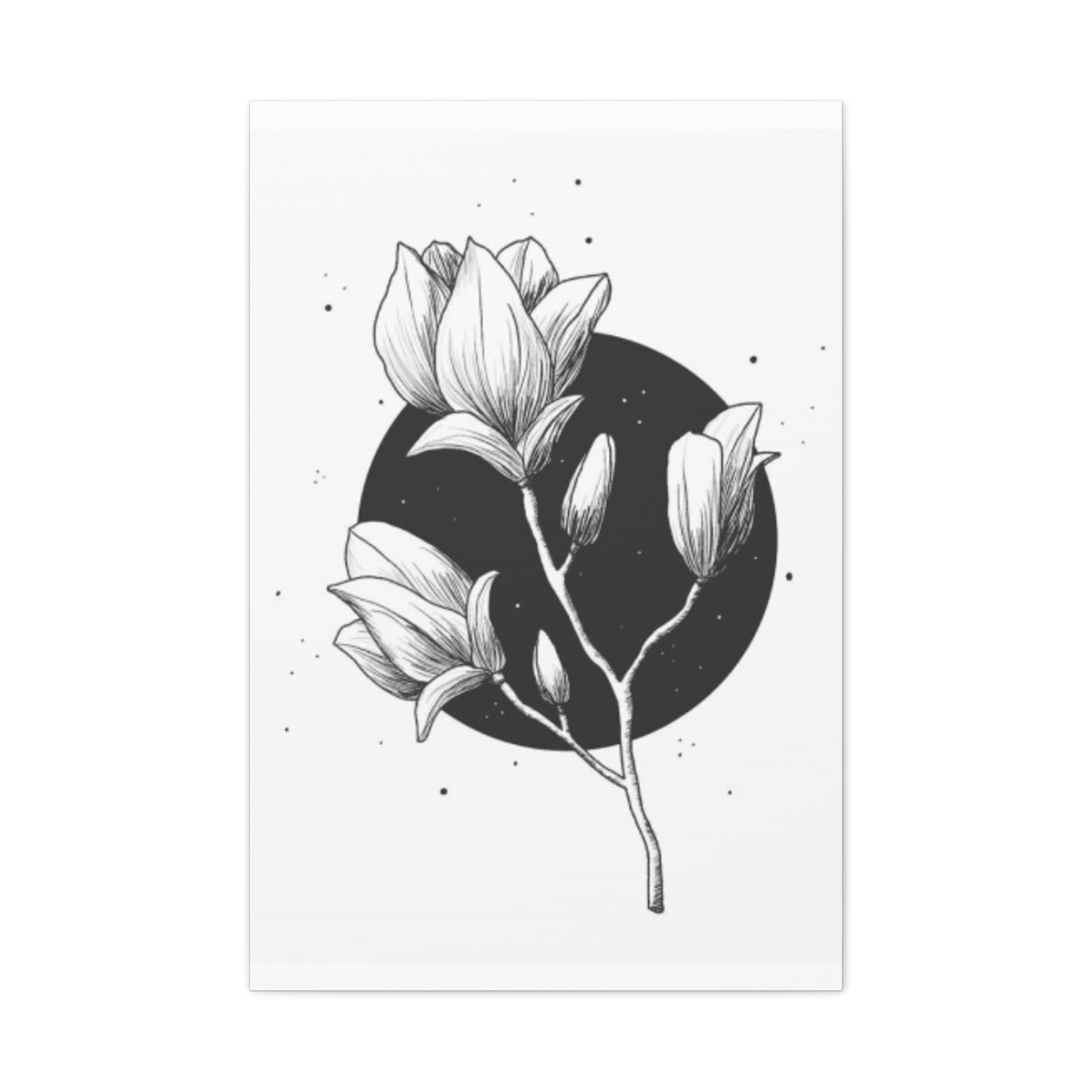 Beautiful Monochrome Magnolia Flower Plant Wall Art & Canvas Prints