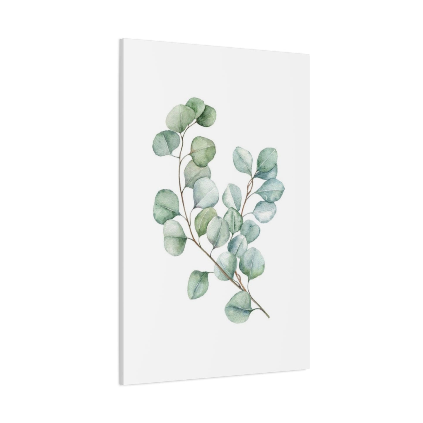 Eucalyptus Stem Wall Art & Canvas Prints