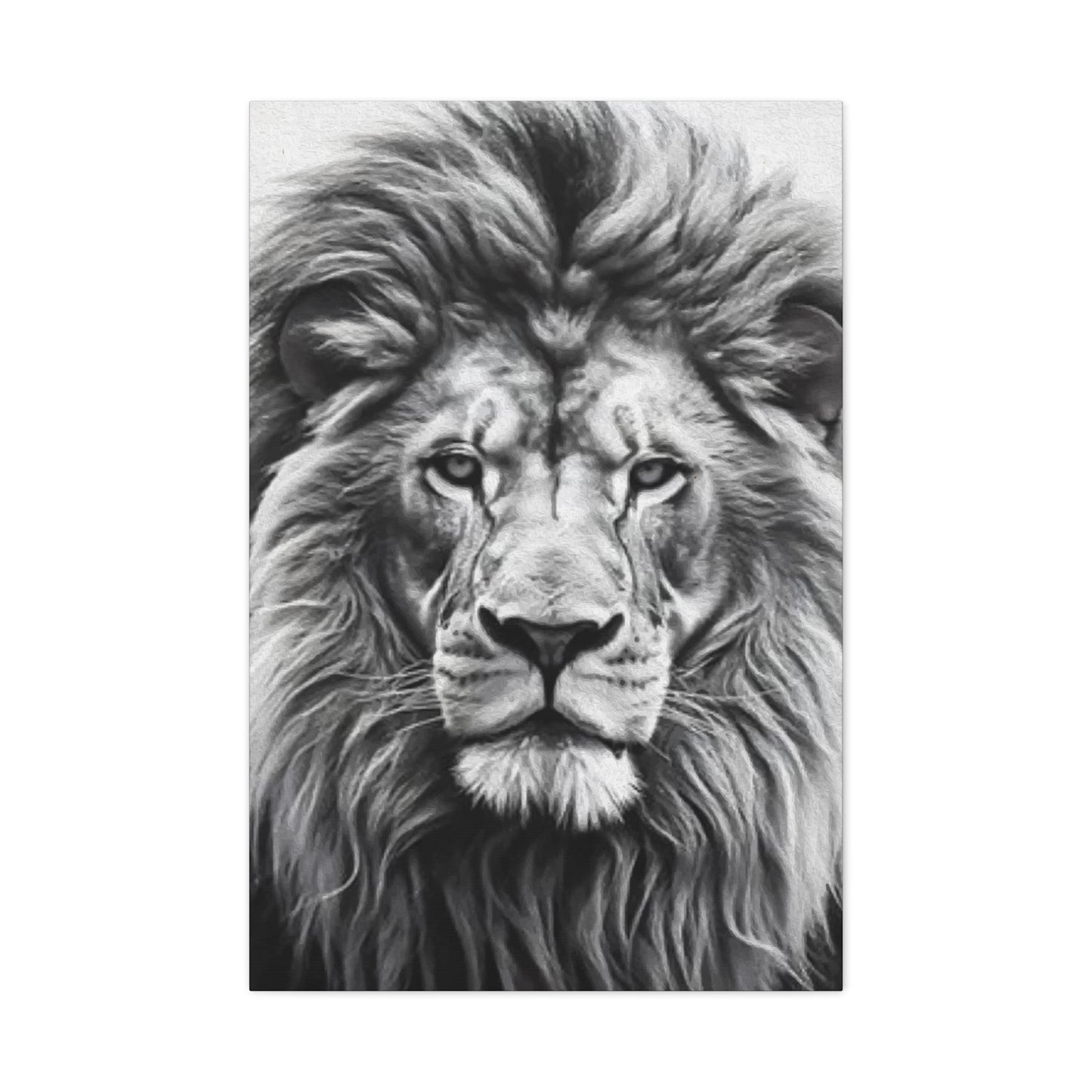 Lion BW Wall Art & Canvas Prints