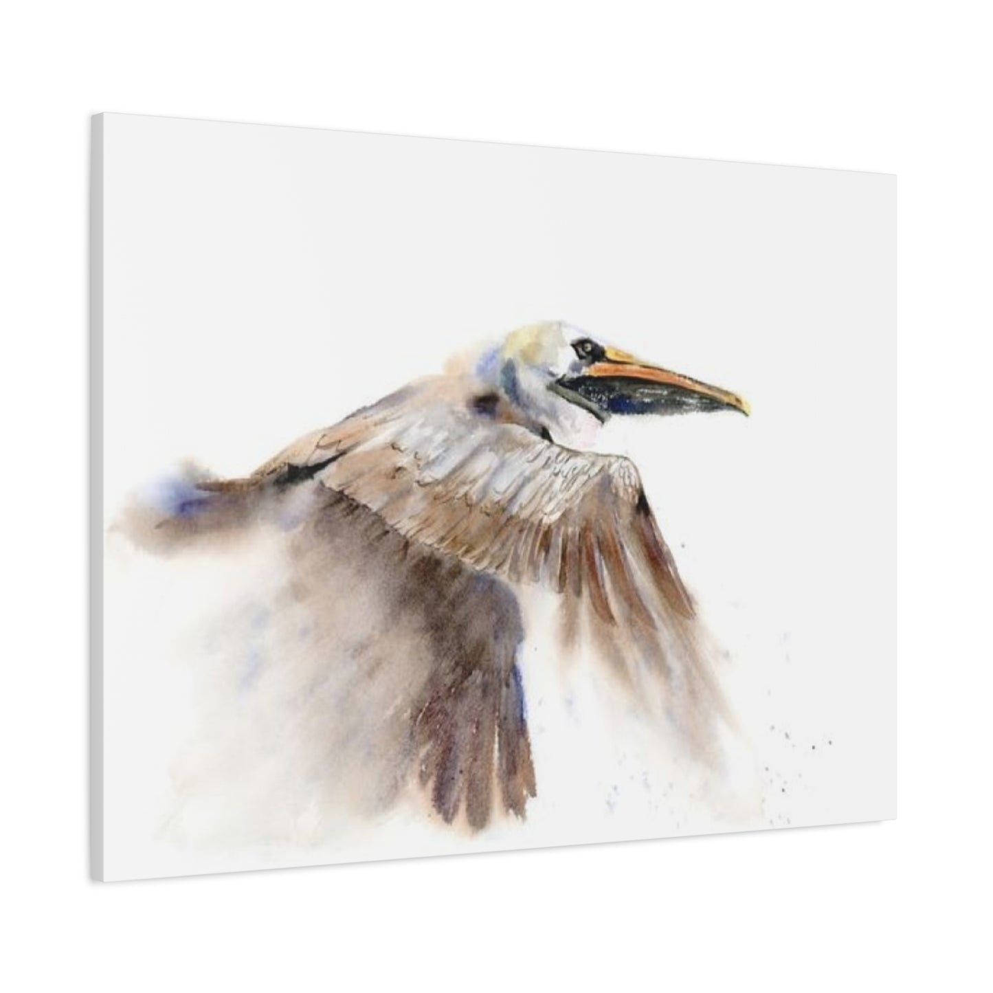 Long Beak Flying Pelican Wall Art & Canvas Prints