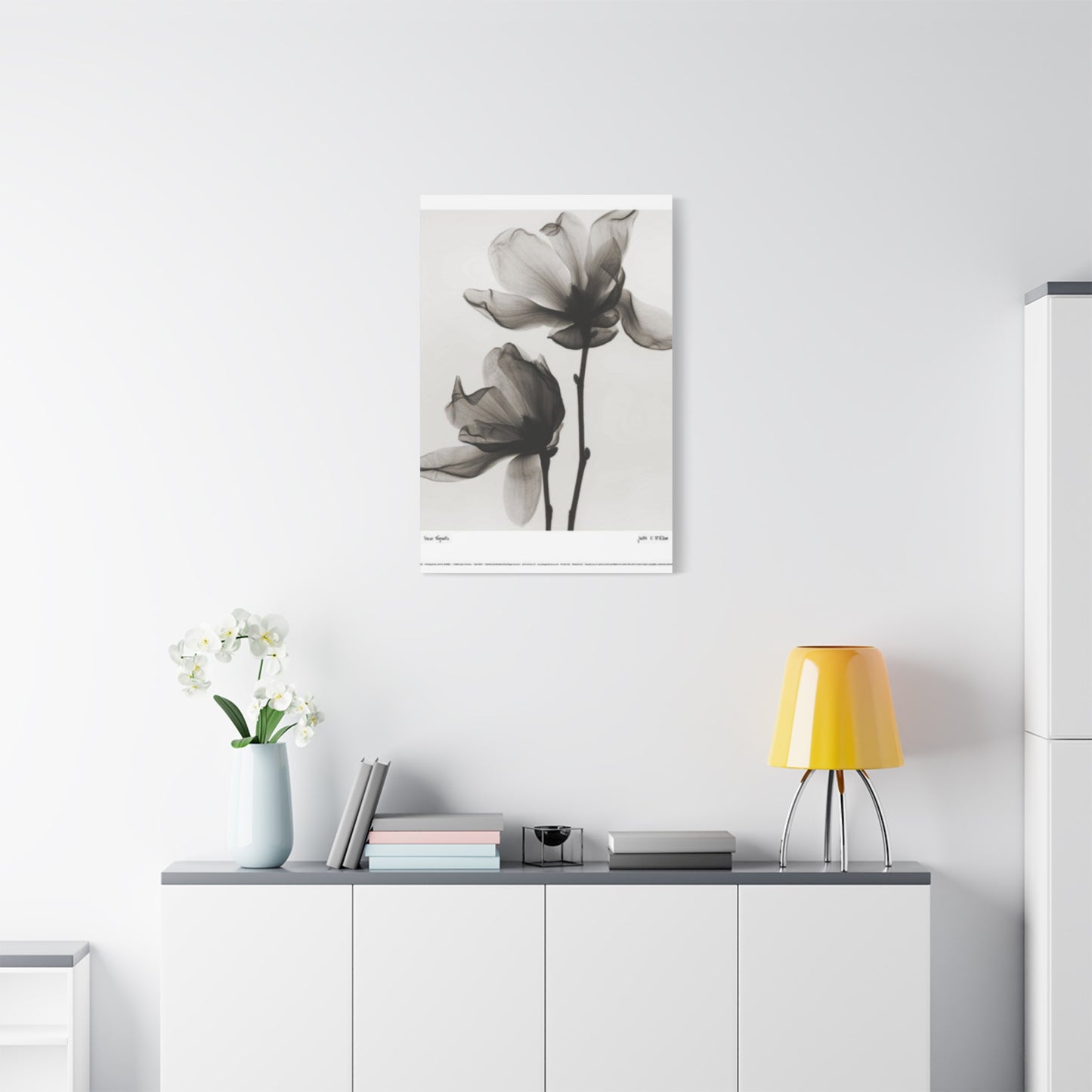 Beautiful Magnolia Flower X Ray Photo Wall Art & Canvas Prints