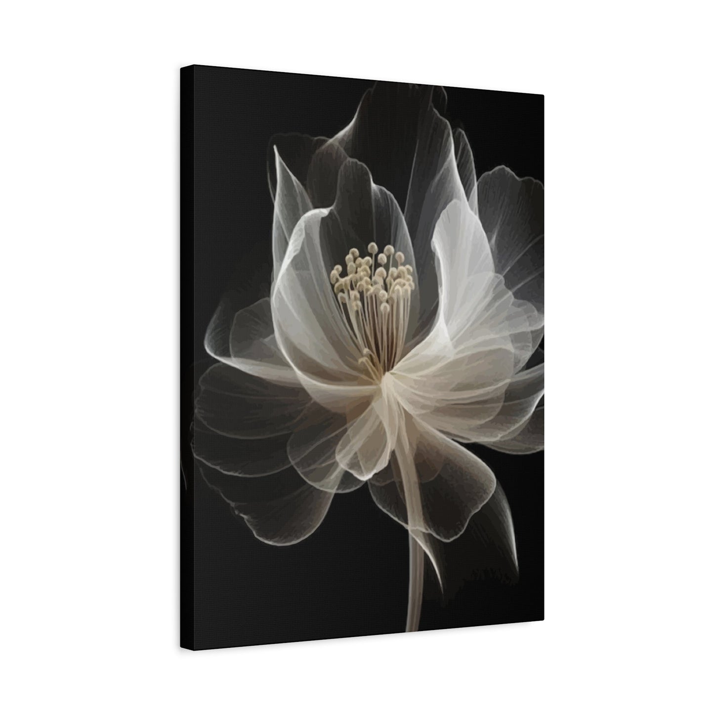 White flower Wall Art & Canvas Prints