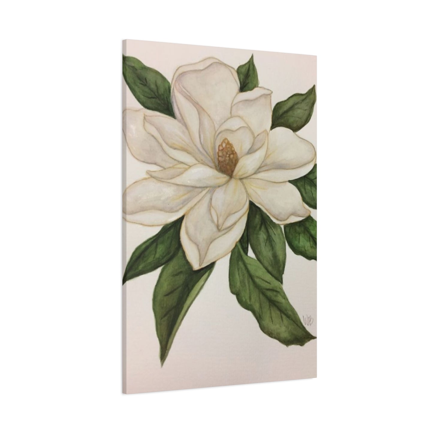 Beautiful White Magnolia Flower Drawing Wall Art & Canvas Prints