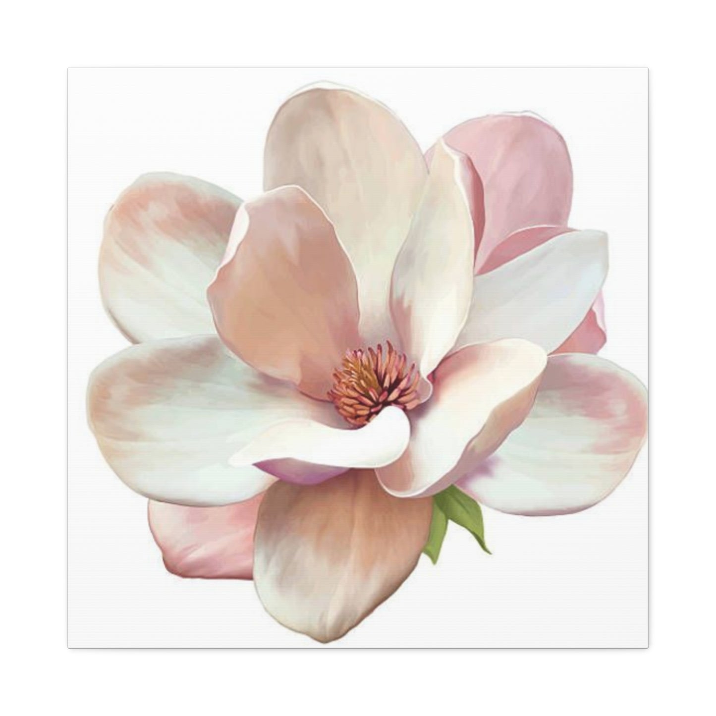 Pink Magnolia Flower Wall Art & Canvas Prints