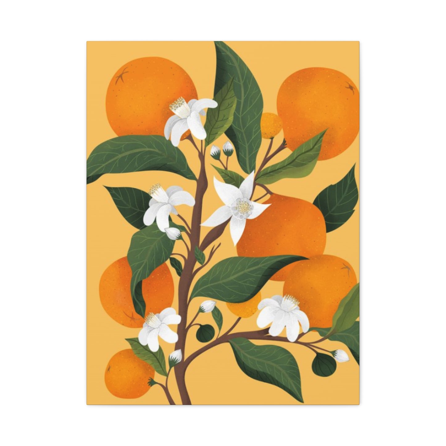 Orange Stem Wall Art & Canvas Prints