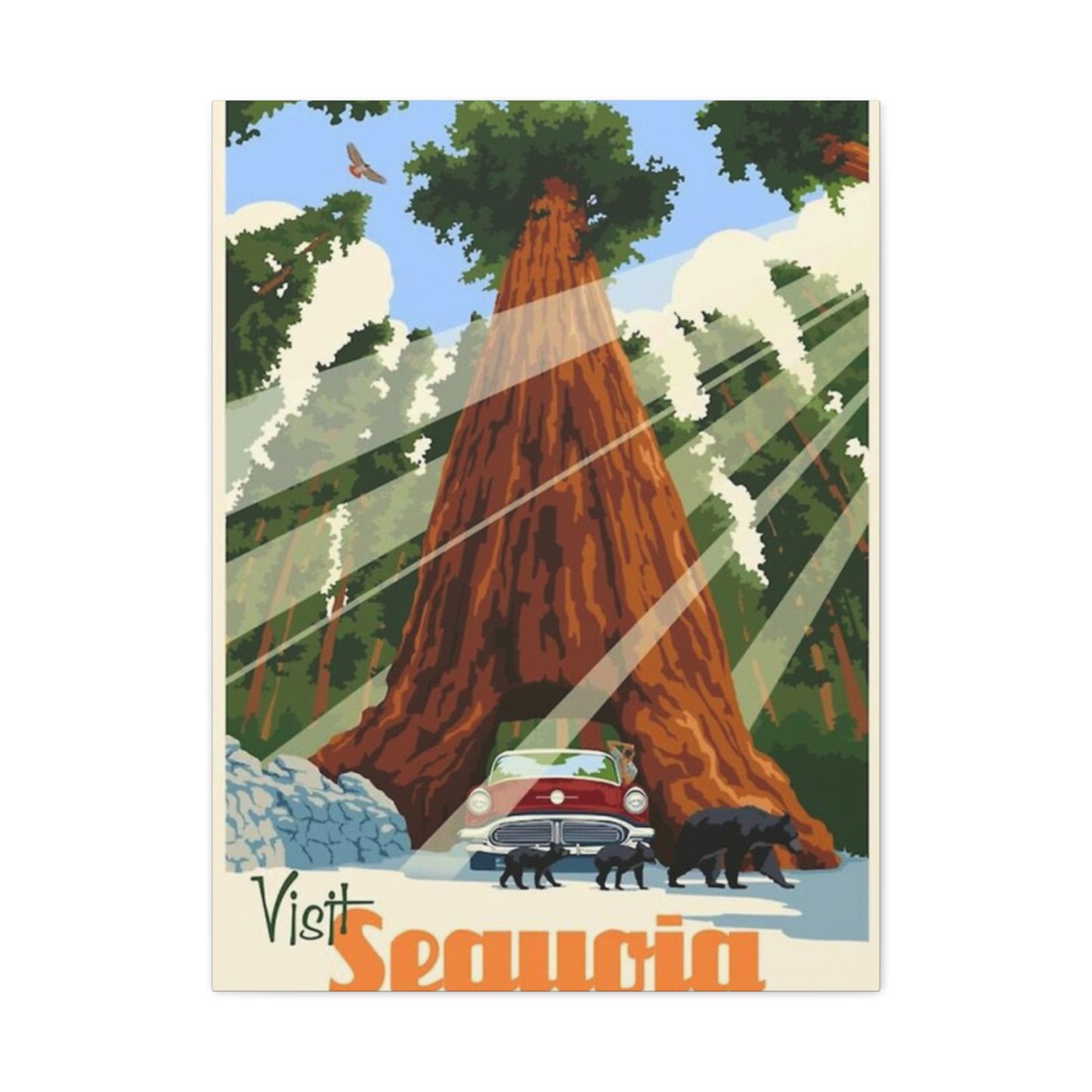 Sequoia Poster The National Park Wall Art & Canvas Prints