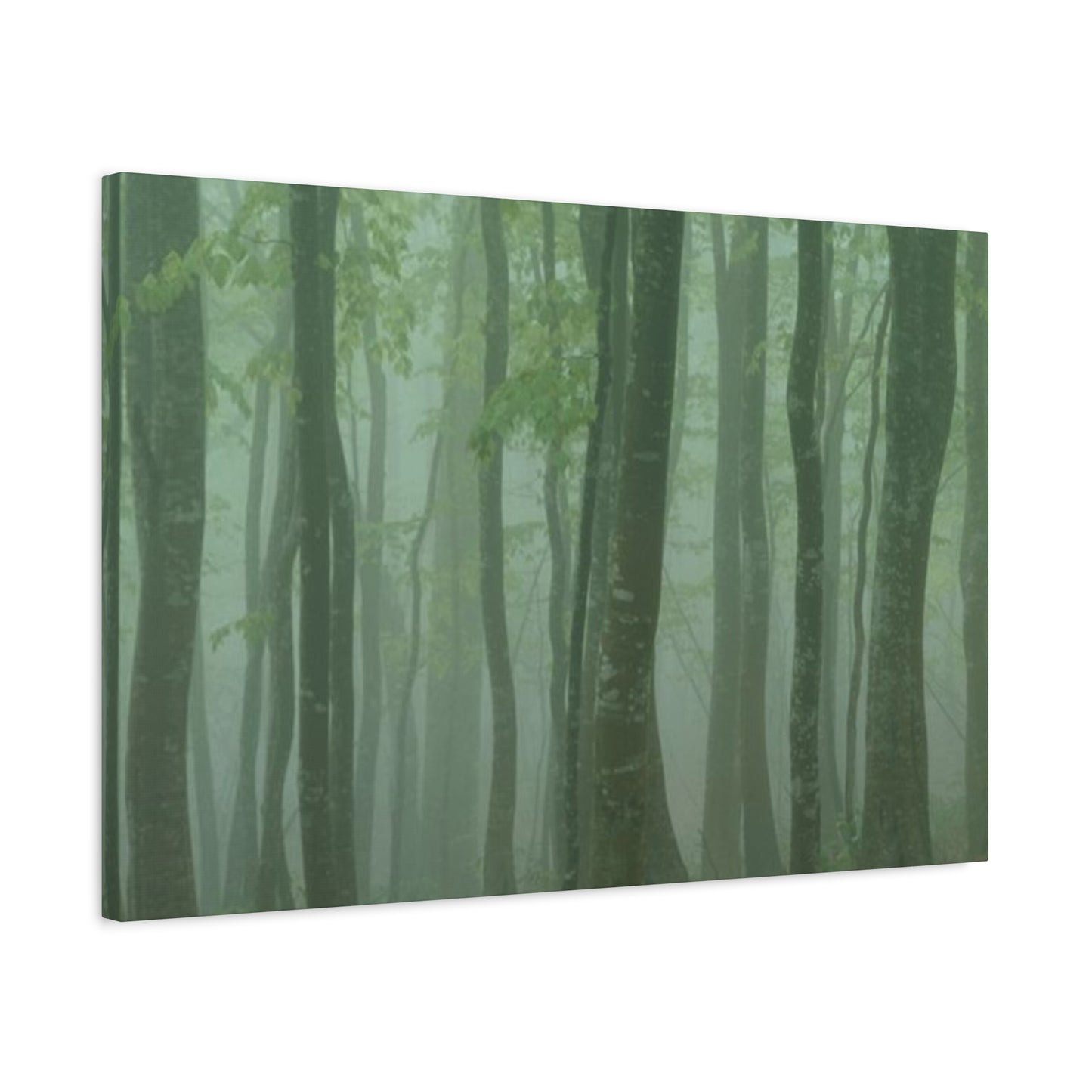 Tropical Forest Wall Art & Canvas Prints