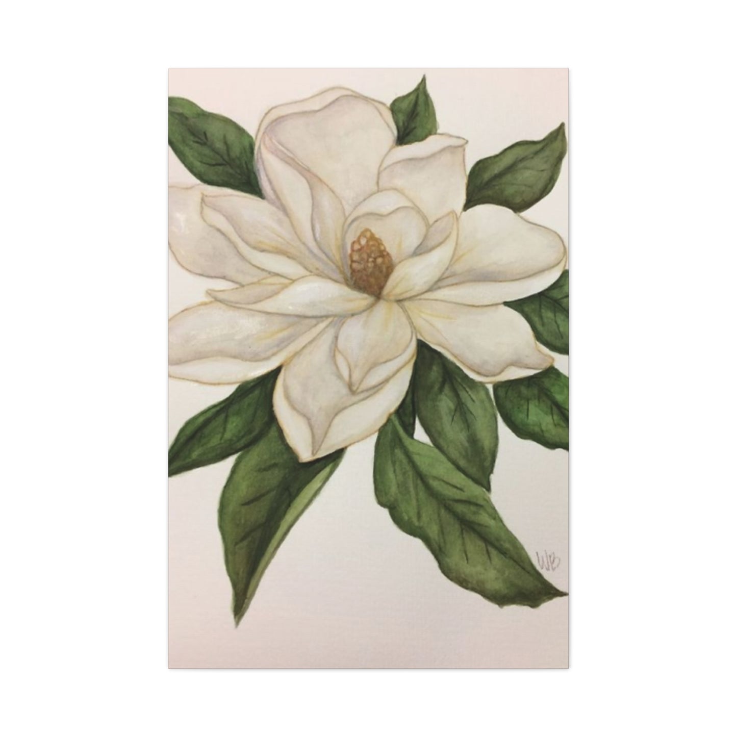 Beautiful White Magnolia Flower Drawing Wall Art & Canvas Prints