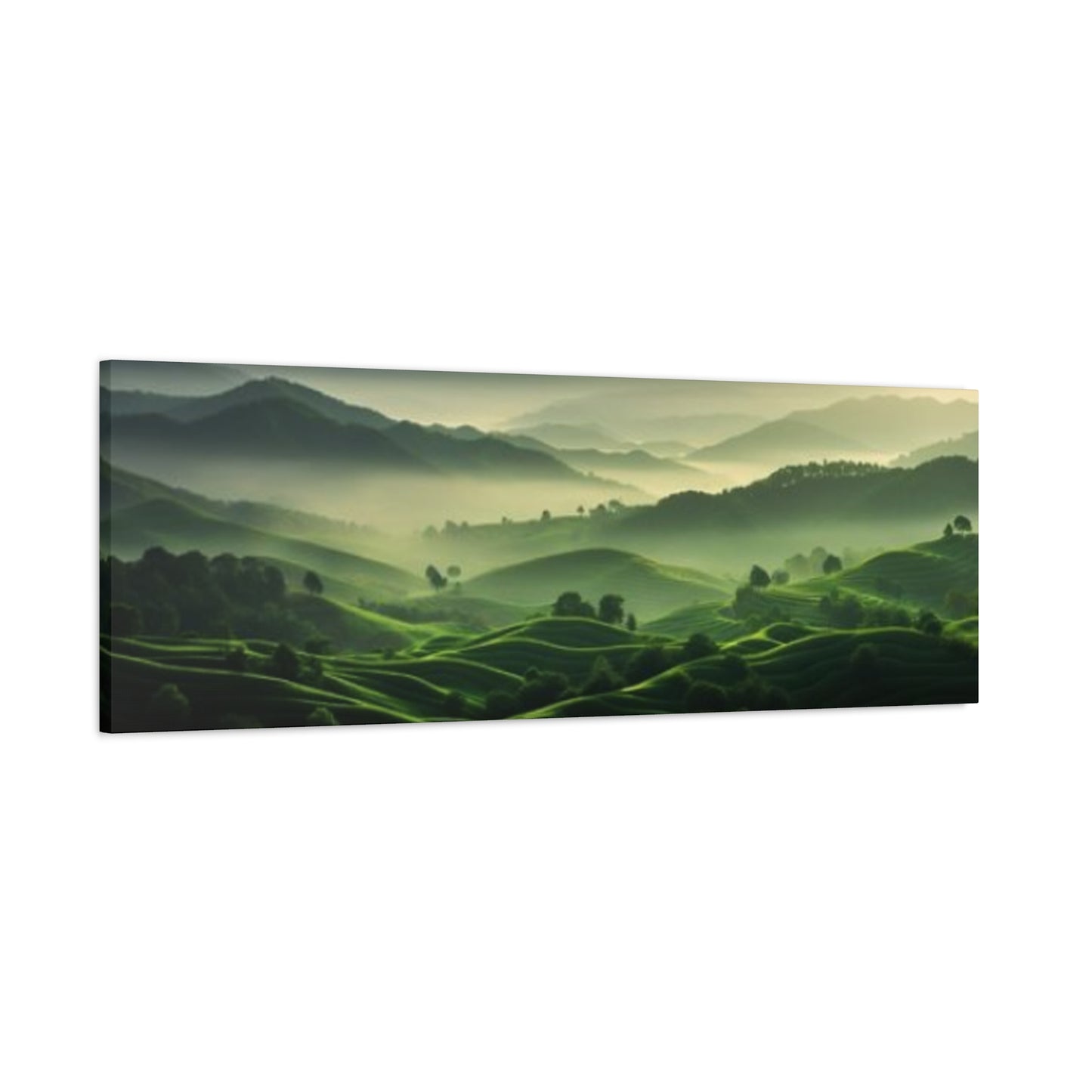 Morning Green Grasslands Panoramas Wall Art & Canvas Prints